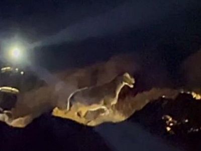 � ����� ��� ������� ������ ������������� � ��������� ����