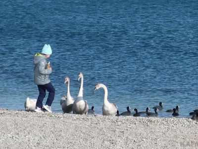 ��������: �������� ��������� ���