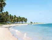 ������� ������ ����� ����