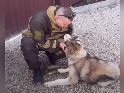 � ����� ��������� ������ ����� ����� ���� ����� ������ �������