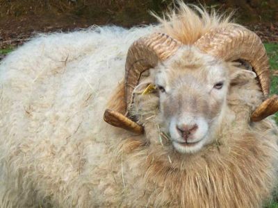 � ����� ���������� �������� ��� ��������� ����� ������ ����