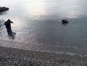 В Ялте женщина пошла поплавать в море и чуть не утонула в 300 метрах от берега