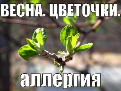 ����� ������� ����� �������� ��������� ����������