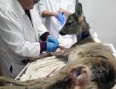 ��� ��������� ������ ������ ����� ��������� ���� �����