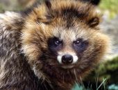 � �������� ����������� ��������� � ����������� ������