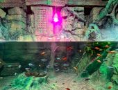 В Севастополе вновь открылся музей-аквариум, пострадавший из-за шторма