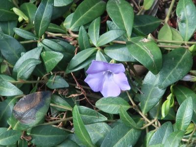 ��������: �������� ��������� ���