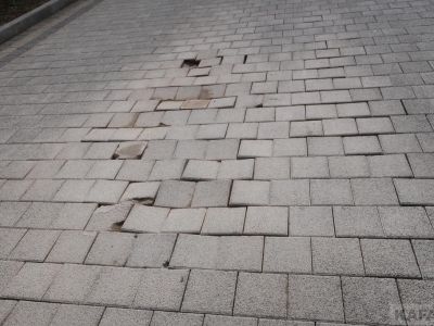 ��������: �������� ��������� ���