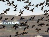 ���� ������������� �������� �����