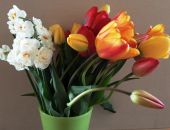 ����� � 8 ����� � ������ ���������� �� 30% 