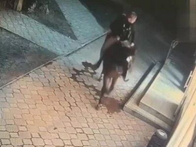 � ����� ������� ��-��������  �������� � �������