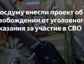 В России хотят освобождать от уголовного наказания за участие в СВО