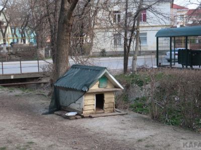 ��������: �������� ��������� ���