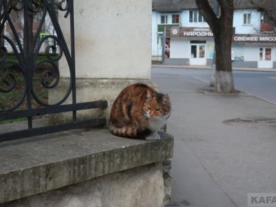 ��������: �������� ��������� ���