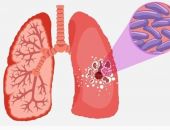 ������ ������������ ������������ ����������� 