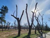 ����������� ������� ��������� ��� ������� �������� � �����������