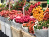 � ������ ������� ������� �� ������ ������