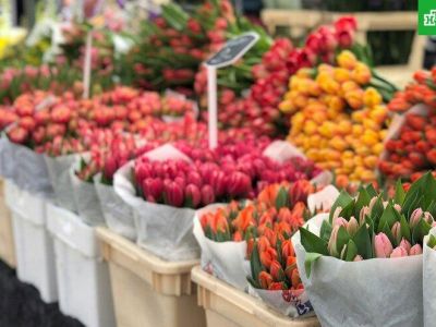 � ������ ������� ������� �� ������ ������