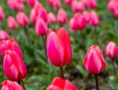 27 ����� � ���� �������� ����� ���������