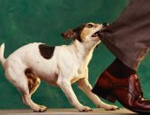 �� ������ �� ������ �������� ���������� ����� ����� �������