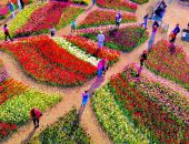 � ����� �������� ��� ����� ������� ��������� 2024�