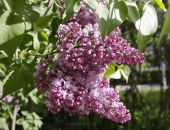 � ����� ���������� ���� �������� ����� � ������ 