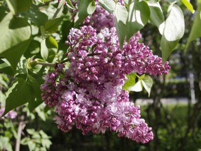 � ����� ���������� ���� �������� ����� � ������ 