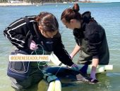 ���������� ����������� ����� ��������� � �������� ���� � ���������