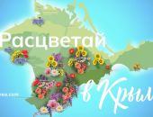 ���������� ����� �������� ����������� � �����