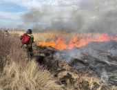 � ����� � ������ ���� ��������� ����� 500 �������