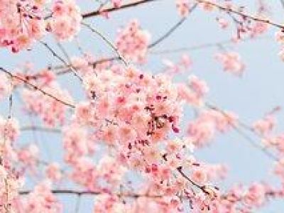 � ����� � ����� ������ ������� ��������� �������� ������