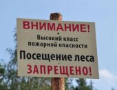 Внимание: в Крыму на три дня введен запрет на посещение лесов