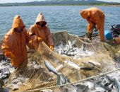 � ��������� ����� ����� ����� ����, - � ��������, ����� �  ������