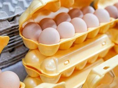 � ������ ����� ������ ���������� � �������������� ����� ��� �� ����