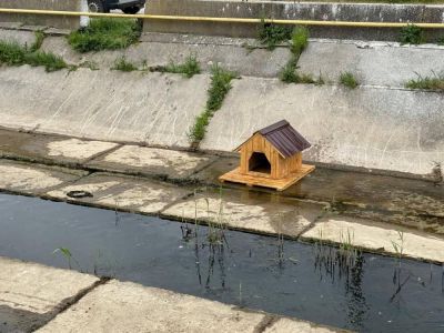 � �������� ��������� ������ ��� ����