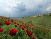 � ����� ������� ����� �������� ������ ������������� �������� 