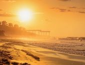 �� ����� �������� �������� �����