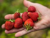 � ����� �� ��� ������ ������ ������� ��������