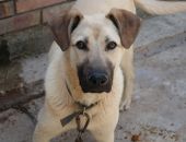 ����� 38 ����� ����� � ����� � ����� ������� �� ���������