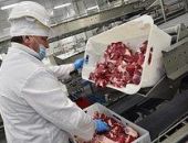 Вывоз мяса из России рекордно вырос