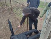 ��������� ������� ����� ���� �������, �� ��� �������� ������