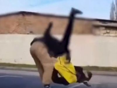������������ �������� ����� � �������