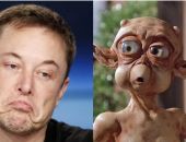 ���� ������: ������������ ����� ����� �������� ������������ �����������