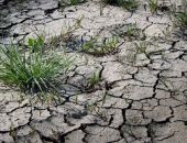 �� ���������, ��� ������: � ������� ����� ������ �� ���� ��� ������