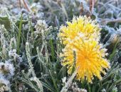 � ����� ����� ����� ��������� ��������� �� �����