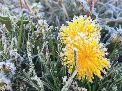 � ����� ����� ����� ��������� ��������� �� �����
