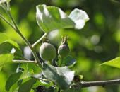 �������� ����� ����� ������: ������� ��������� ���������