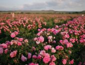 � ����� ���������� ��������� � ���������� �� ����� �������� ����