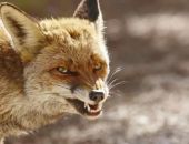 � ����� ����������� ����� ������� ��������� ����� ����� ��������