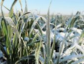 ������� ��������� ���������� 1% ������� � ������